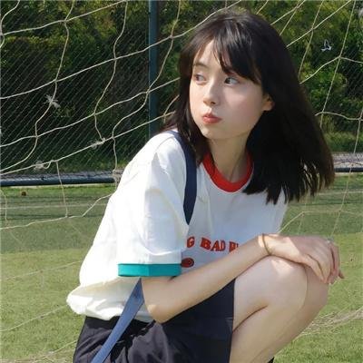 蒂科与鲨鱼