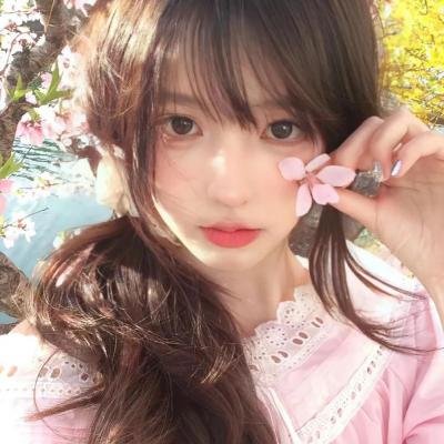 美食总动员